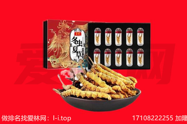 交口县回收虫草.jpg